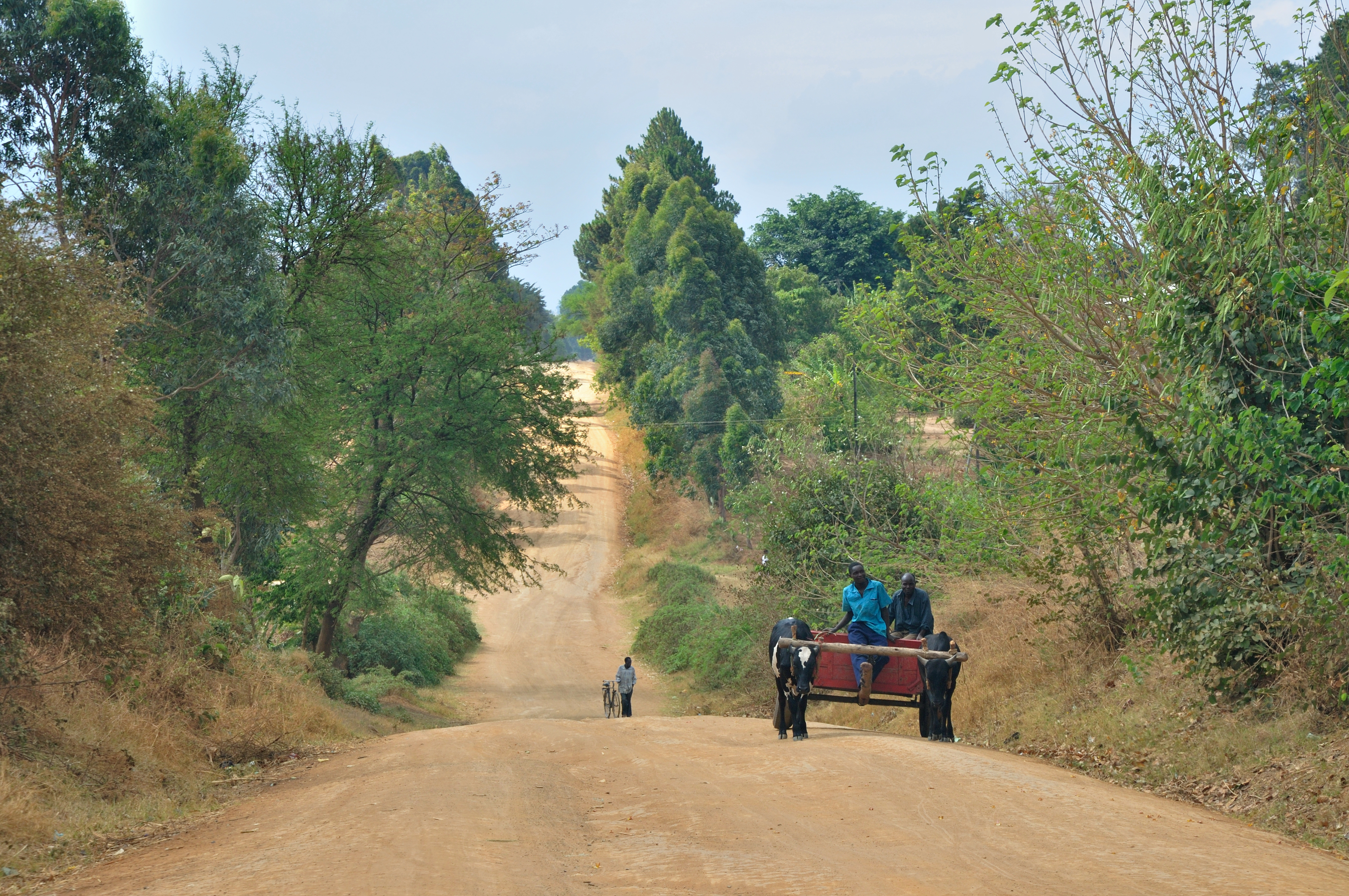 Malawi roads